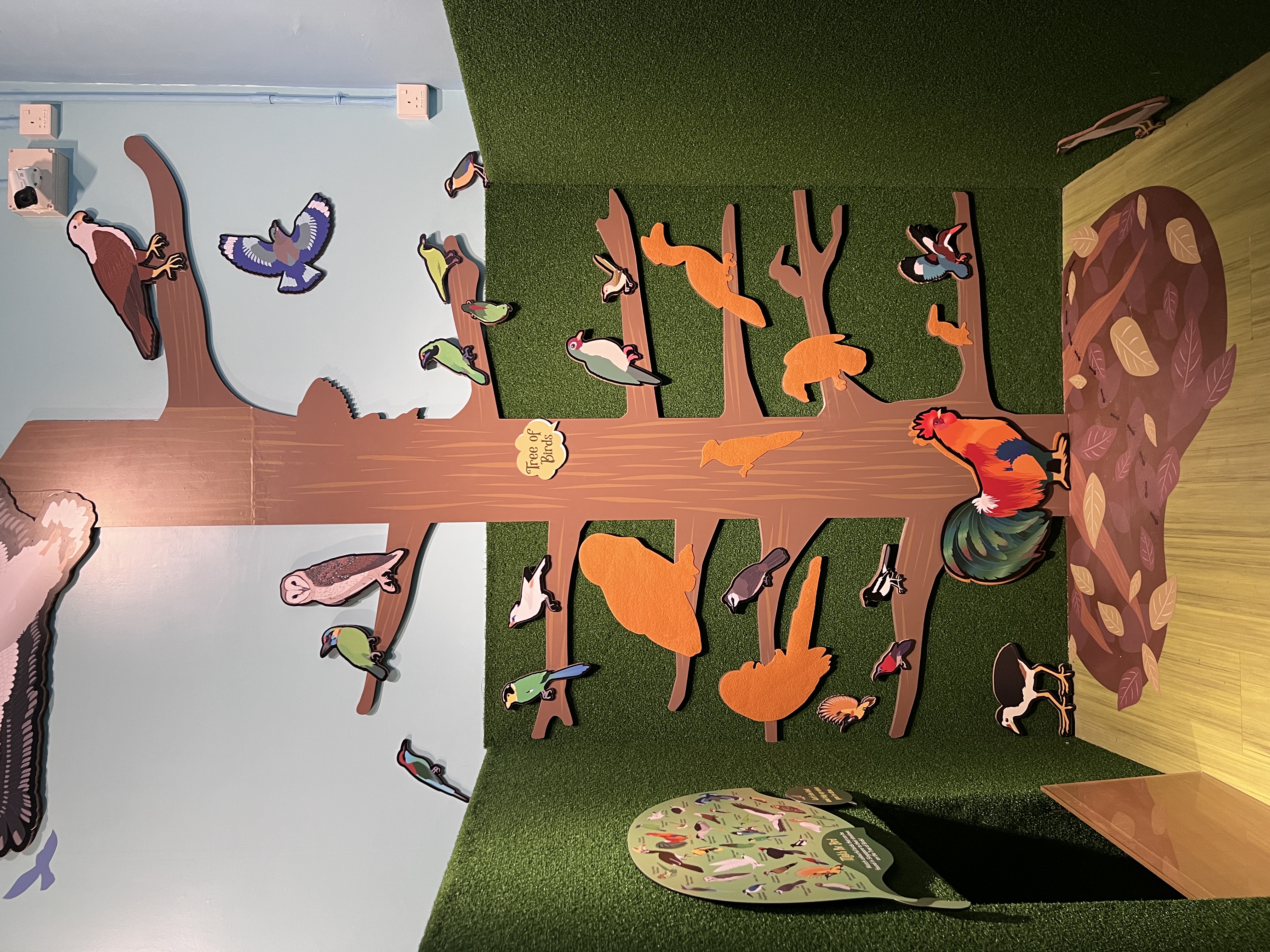 Gallery 7